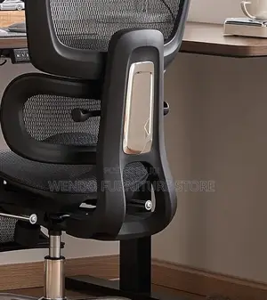 Office Chairs; Executive Orthopedic Recliners Chair With Footrest