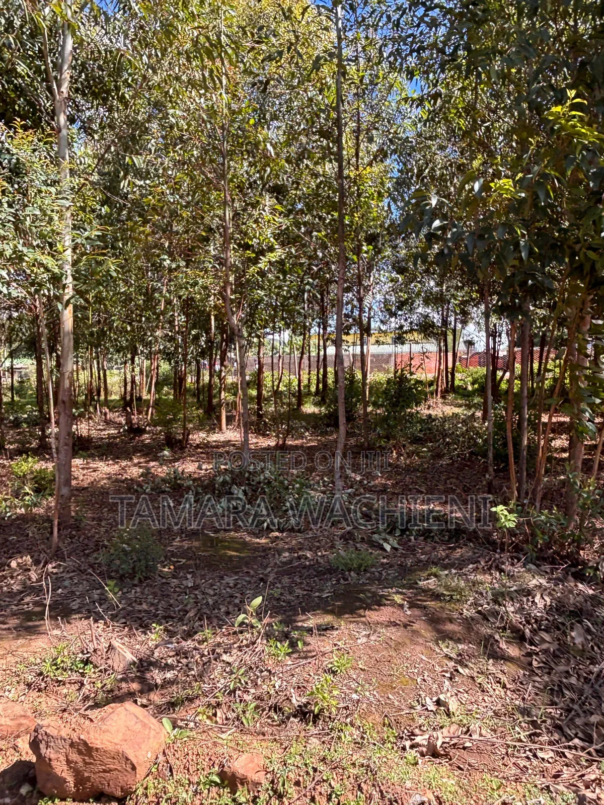 Half Development Plot for Sale in Mboloti Kikuyu 45 Mins From CBD