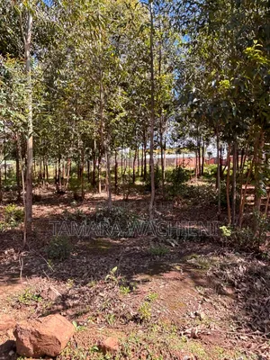 Half Development Plot for Sale in Mboloti Kikuyu 45 Mins From CBD