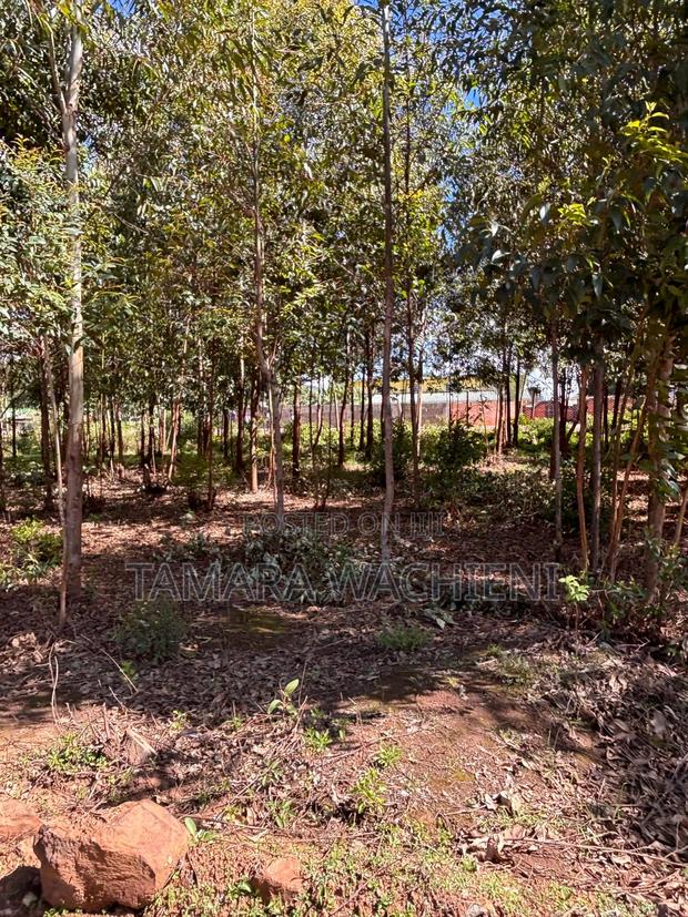 Half Development Plot for Sale in Mboloti Kikuyu 45 Mins From CBD - thumbnail 2
