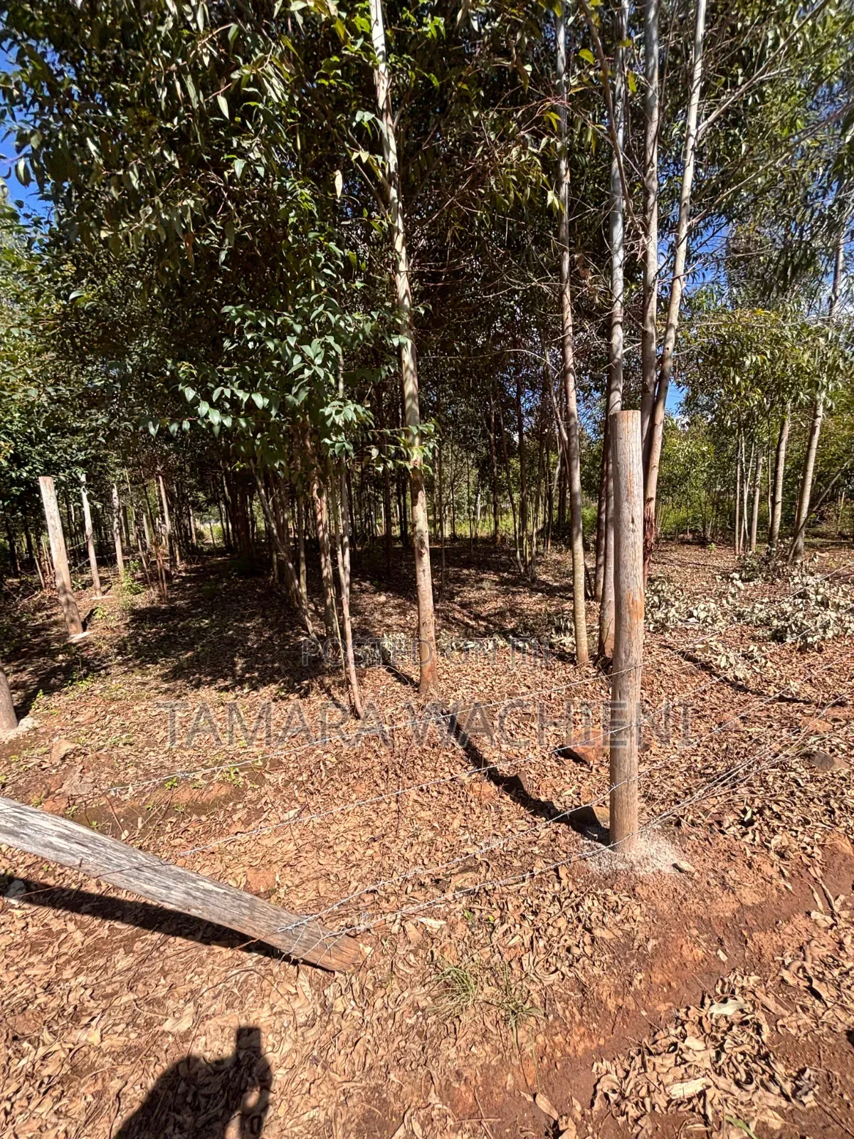 Half Development Plot for Sale in Mboloti Kikuyu 45 Mins From CBD