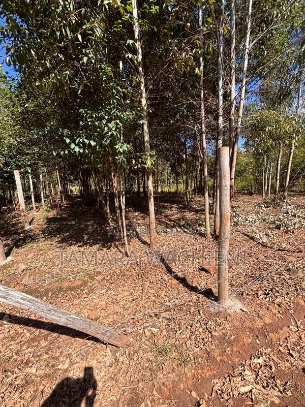 Half Development Plot for Sale in Mboloti Kikuyu 45 Mins From CBD - thumbnail 9