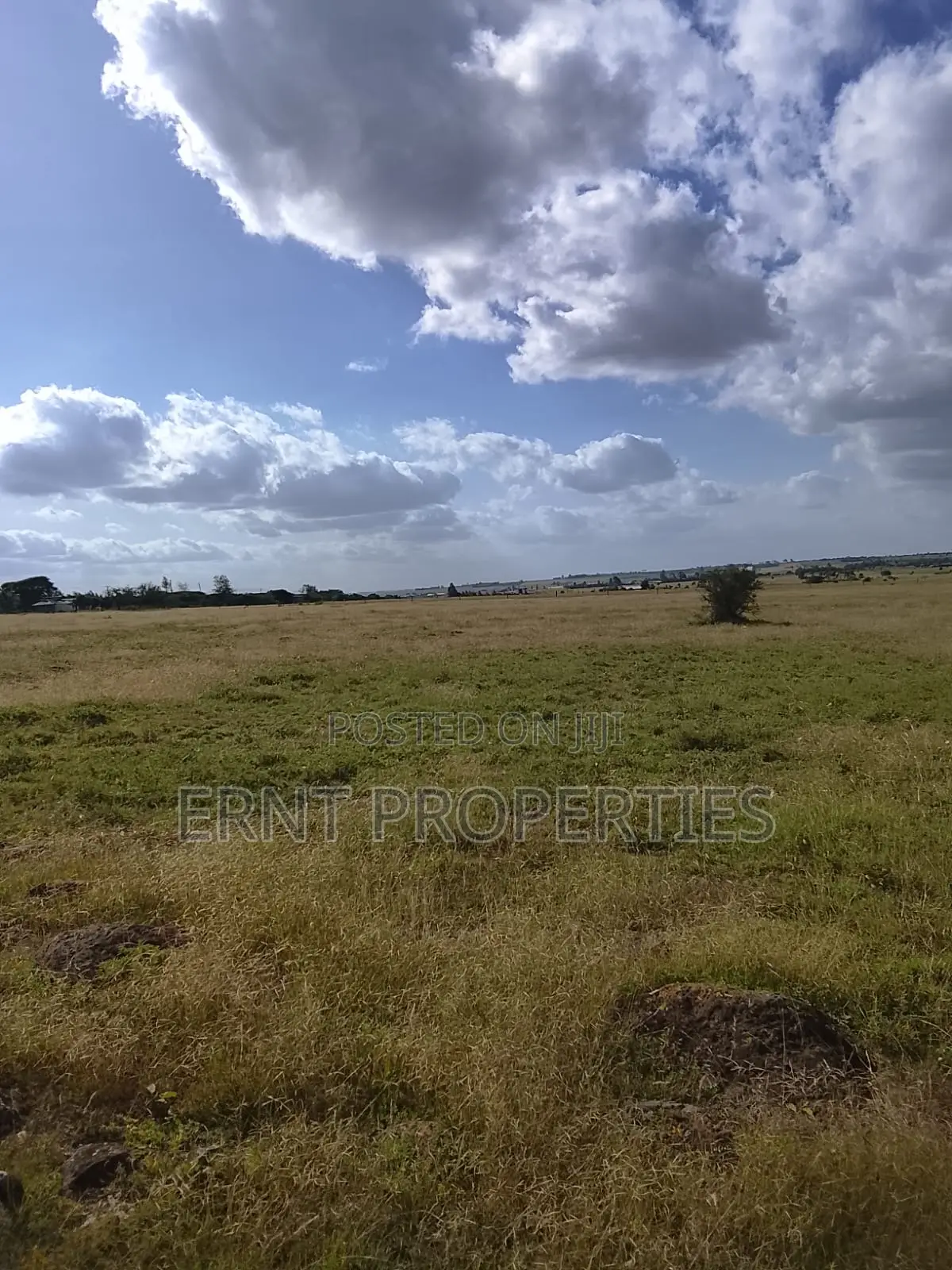 Quick Sale. Two Quarter Acre Plots Near Santoki at KSH