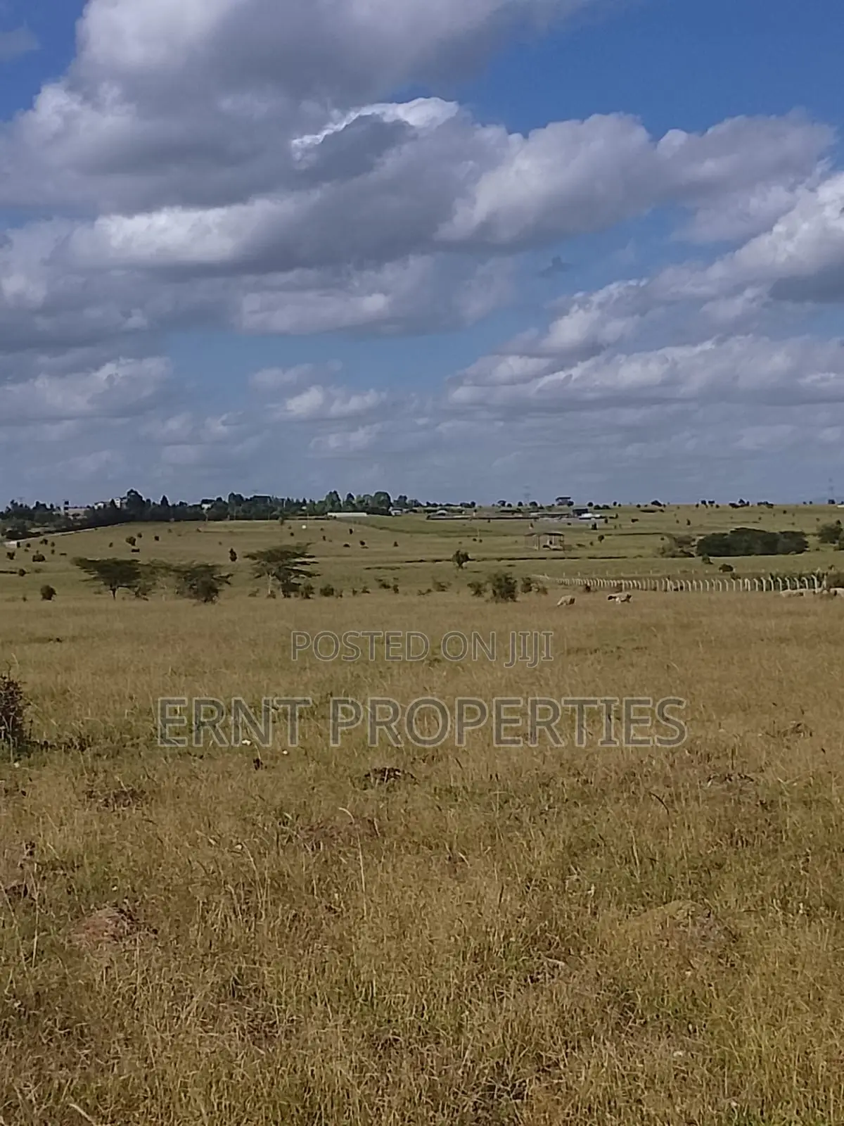 Quick Sale. Two Quarter Acre Plots Near Santoki at KSH