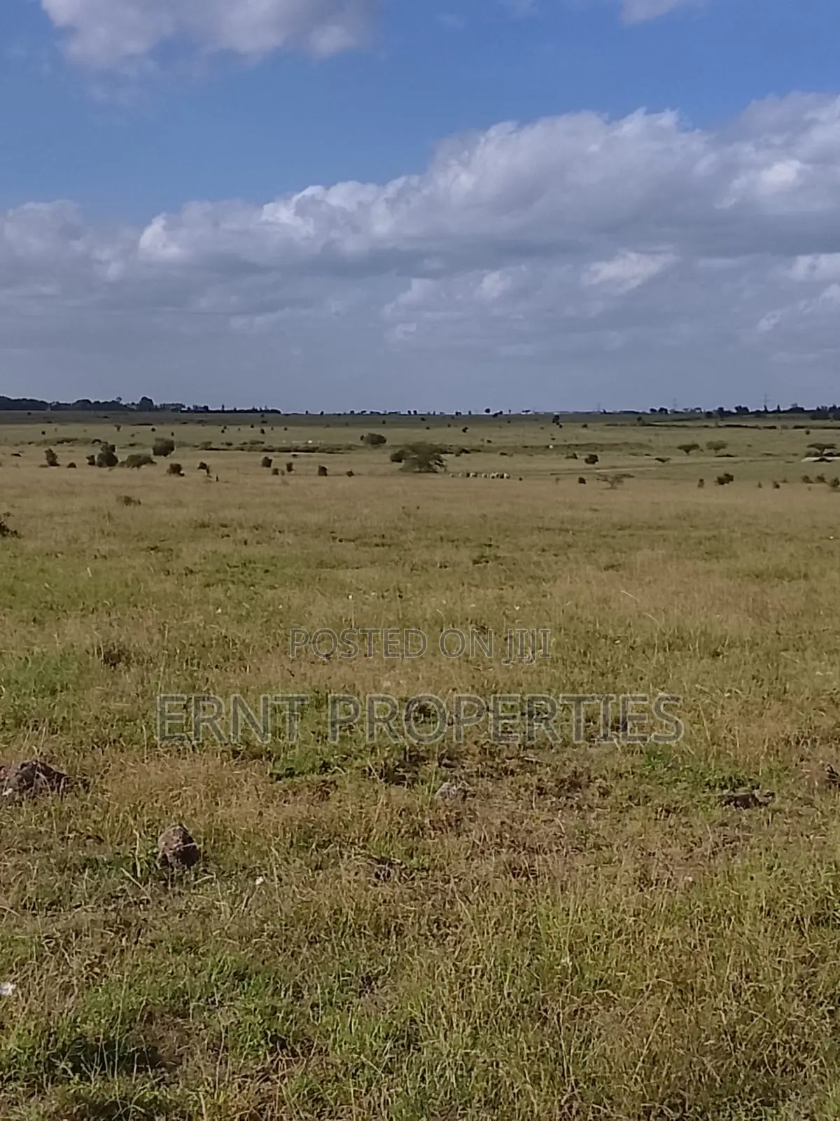 Quick Sale. Two Quarter Acre Plots Near Santoki at KSH