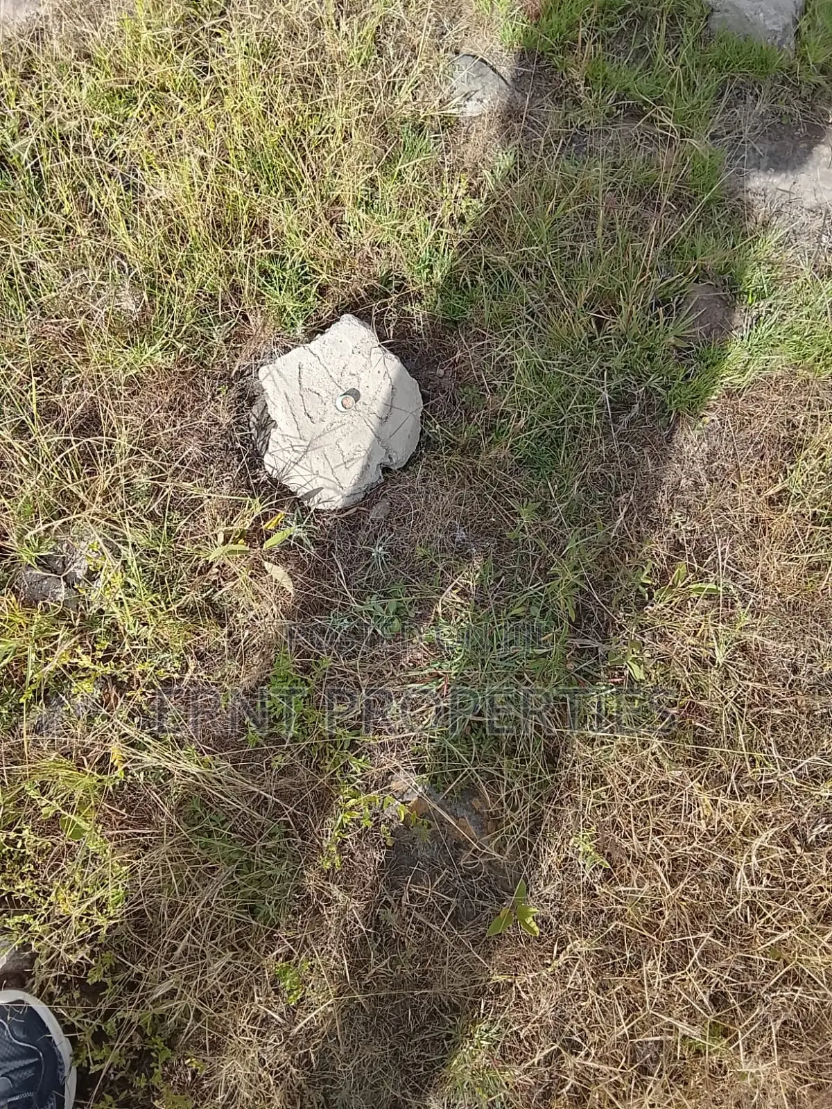 Quick Sale. Two Quarter Acre Plots Near Santoki at KSH