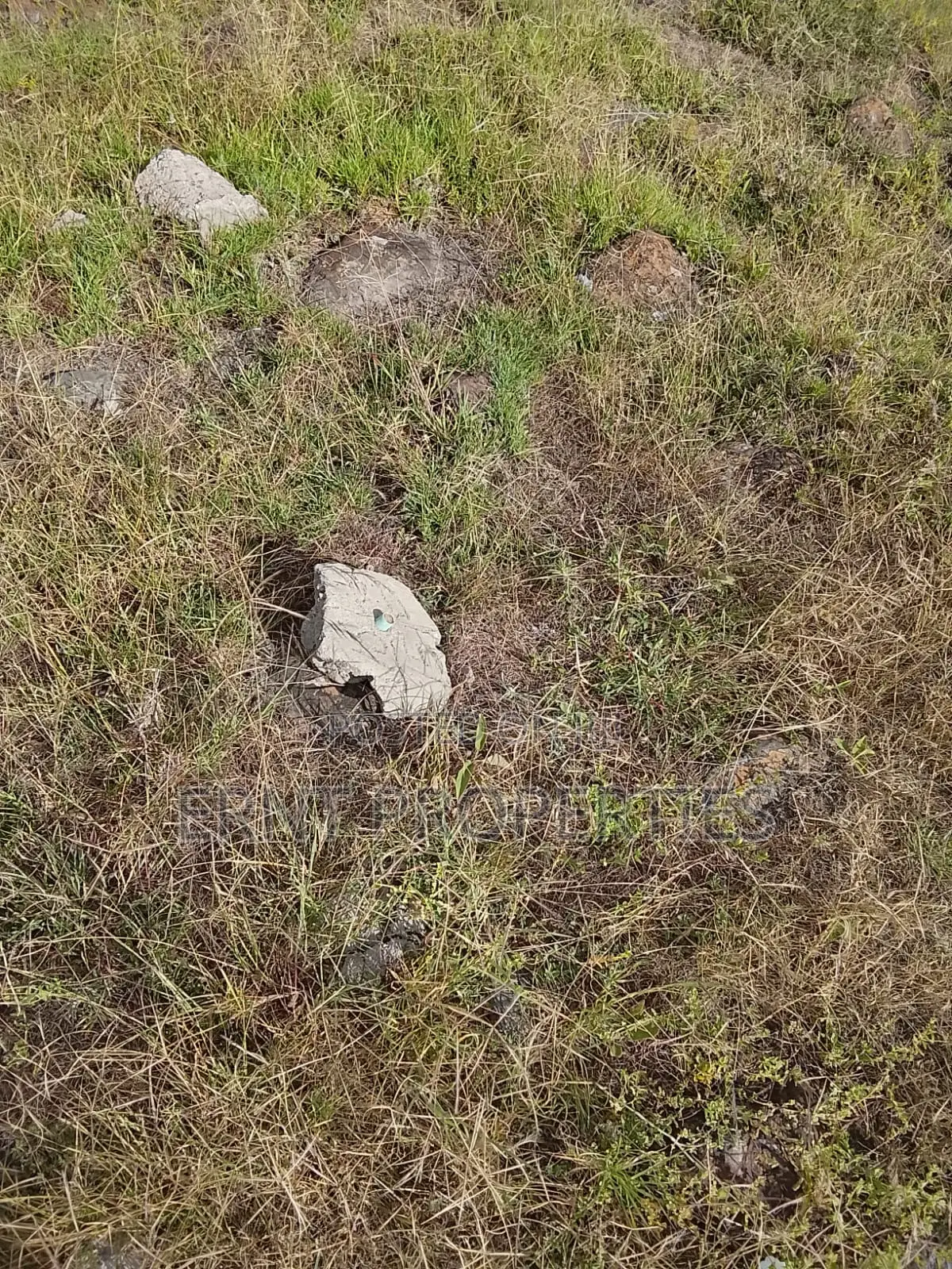 Quick Sale. Two Quarter Acre Plots Near Santoki at KSH