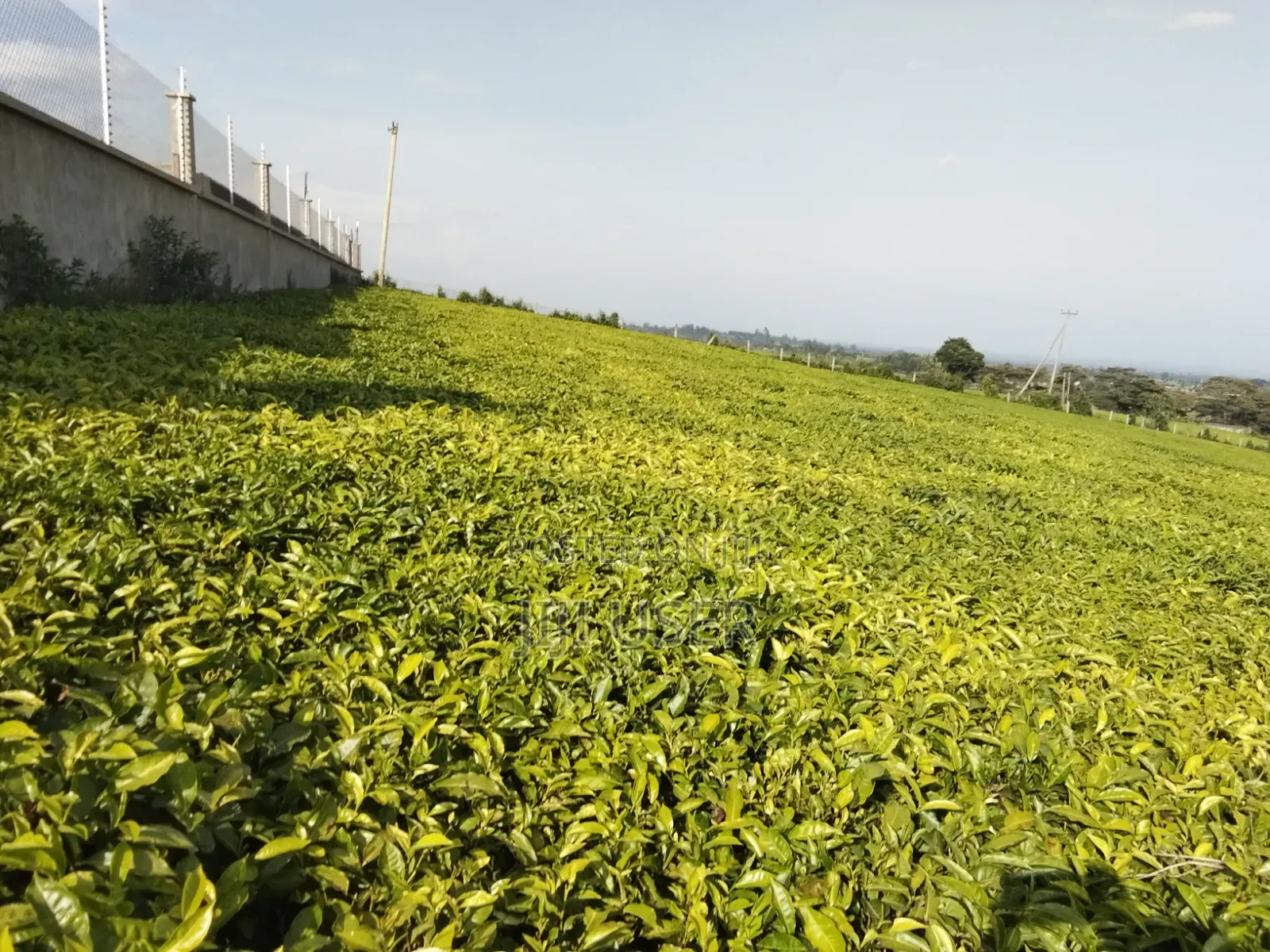 1 Acre Land in Ngorongo Area Limuru