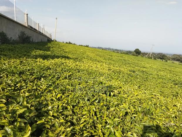 1 Acre Land in Tigoni Limuru