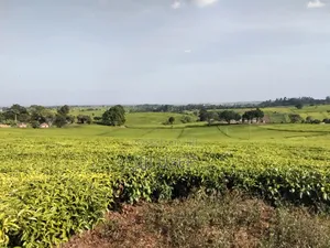 1 Acre Land in Ngorongo Area Limuru