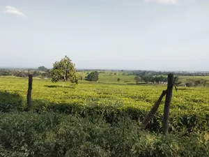 1 Acre Land in Ngorongo Area Limuru