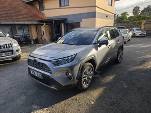Toyota RAV4 Adventure 2019 Silver