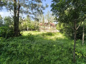 Residential Quarter Acre Plot for Sale in Kerarapon Drive