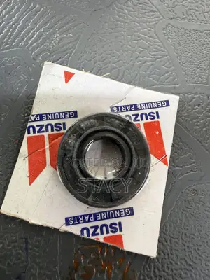 Alternator Seal