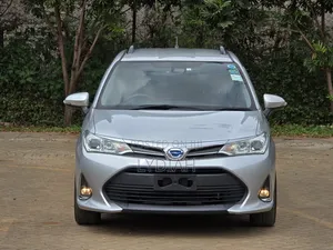 Toyota Corolla Fielder 2018 Silver