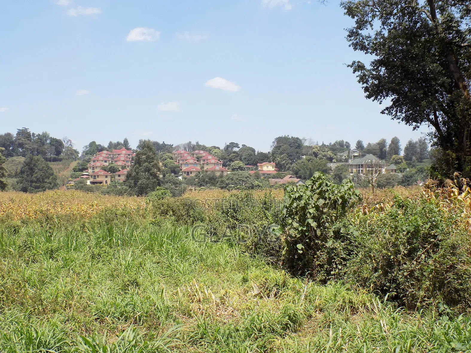 4acres of Land in Kitisuru West Along Kinanda Road