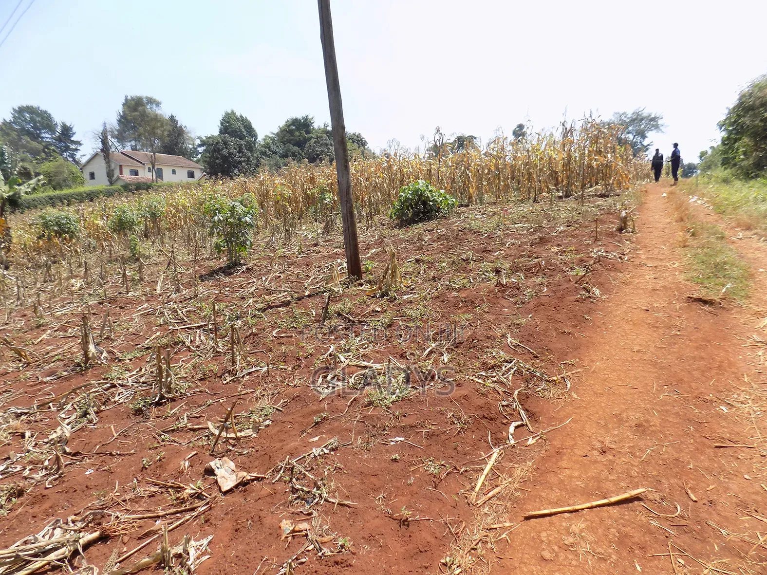 4acres of Land in Kitisuru West Along Kinanda Road