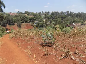4acres of Land in Kitisuru West Along Kinanda Road