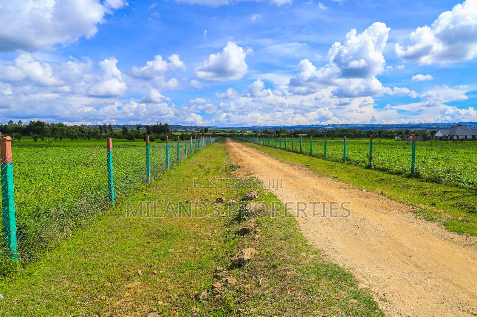 Nanyuki Land for Sale(Ol Pajeta)