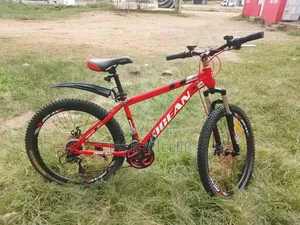Vitus Mythique 26 Youth Mountain Bike – Vitus Bikes