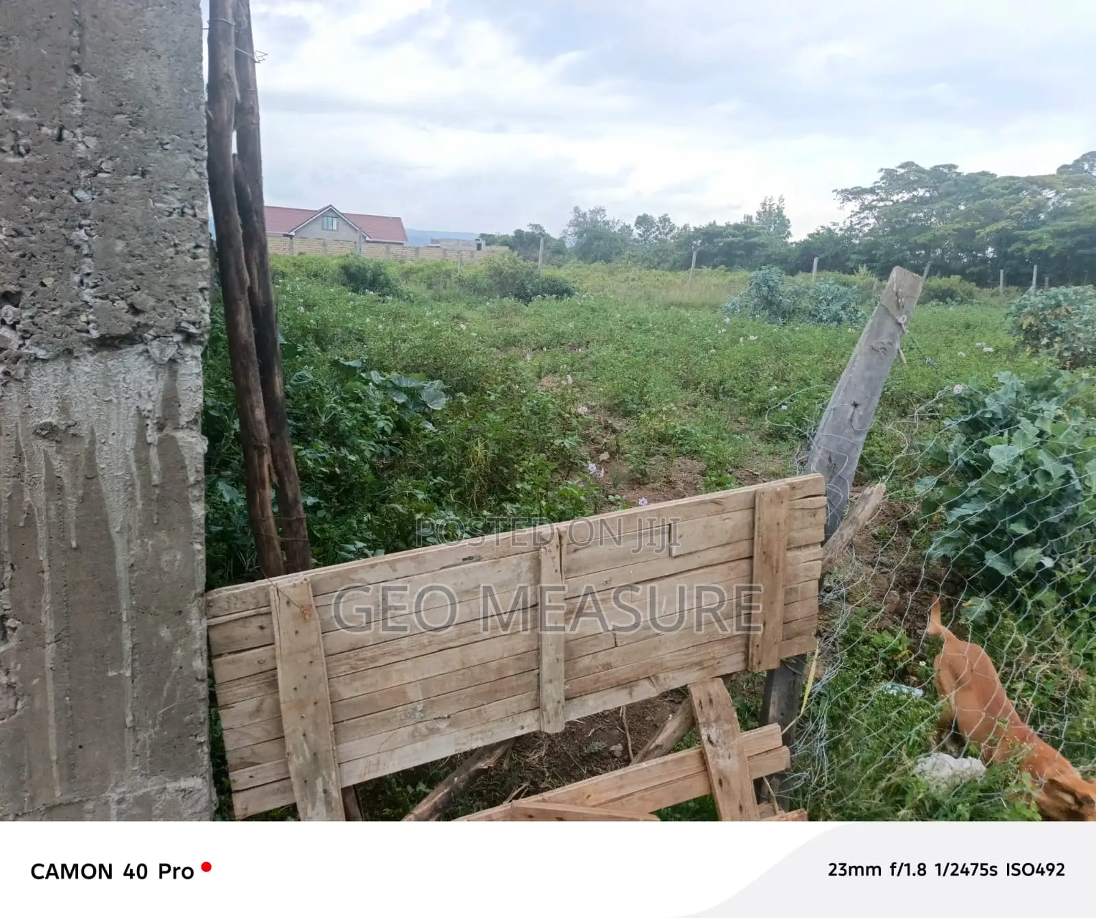 Three(3) Plots (50*100ft)