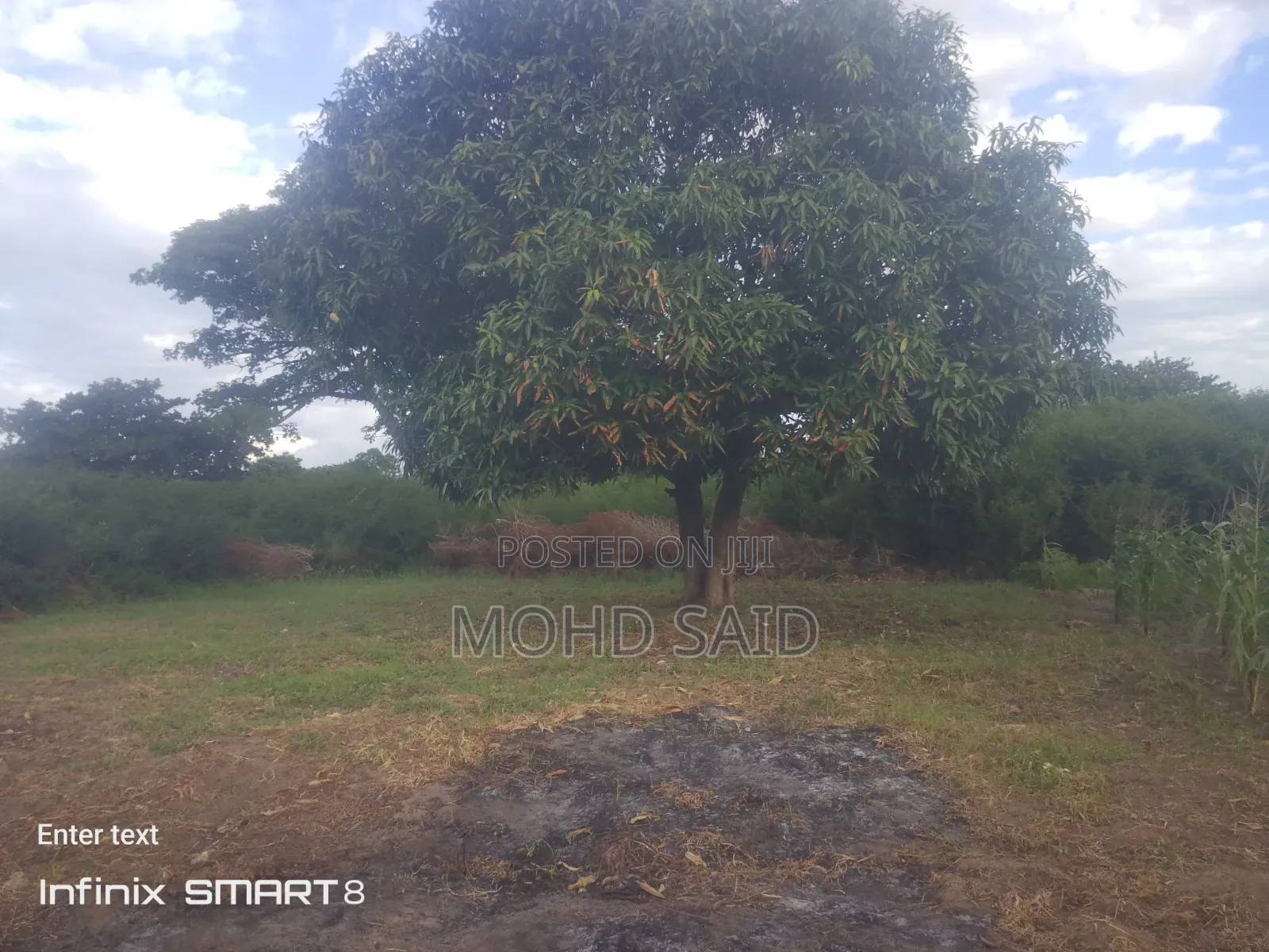 Malindi Gede Freehold Plots for Quick Sale
