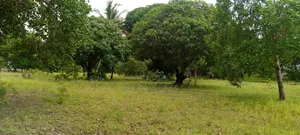 Land on Sale Ng'ombeni 4 Acres 1,9m Per Acre