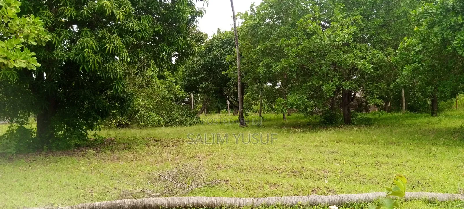 Land on Sale Ng'ombeni 4 Acres 1,9m Per Acre