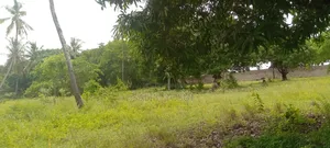 Land on Sale Ng'ombeni 4 Acres 1,9m Per Acre