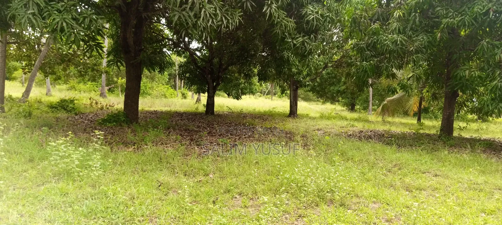 Land on Sale Ng'ombeni 4 Acres 1,9m Per Acre