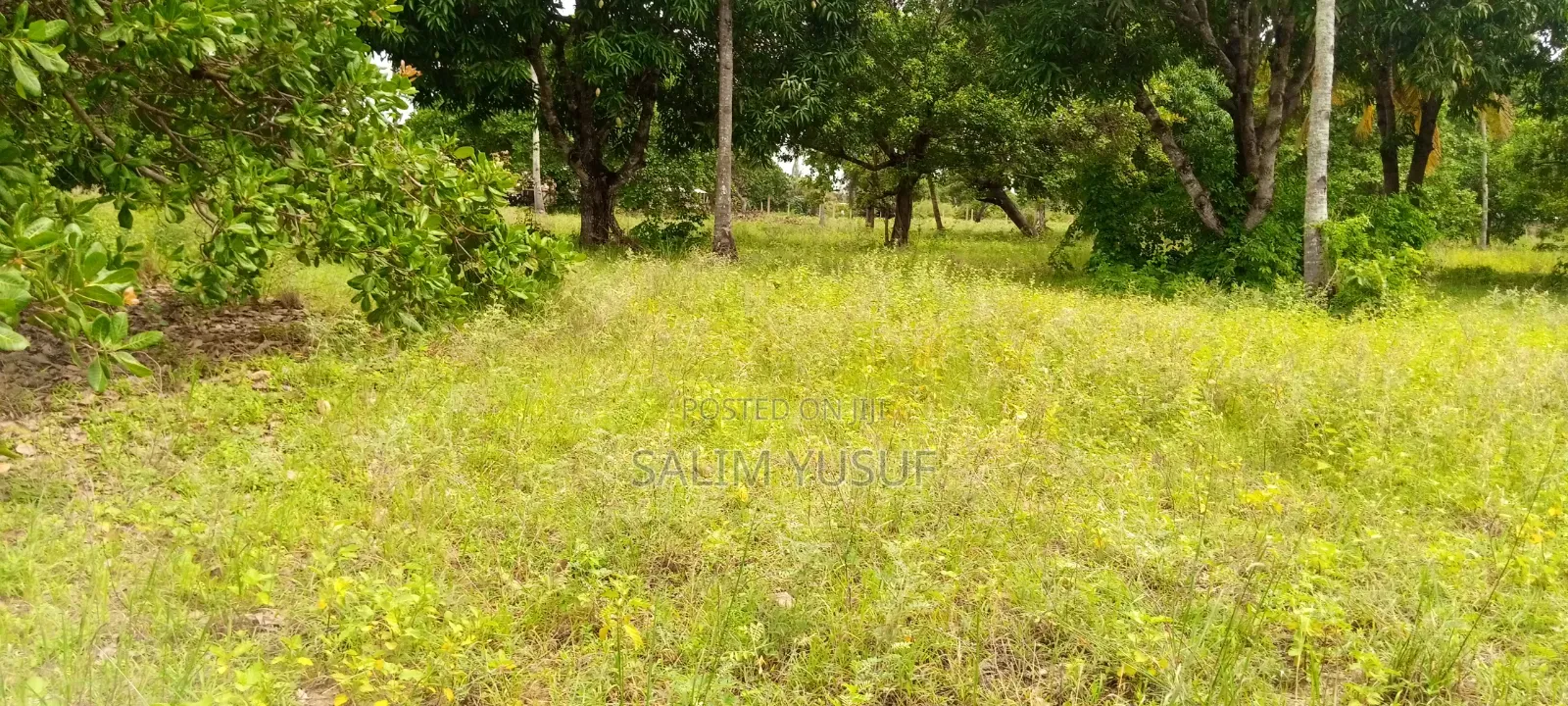 Land on Sale Ng'ombeni 4 Acres 1,9m Per Acre