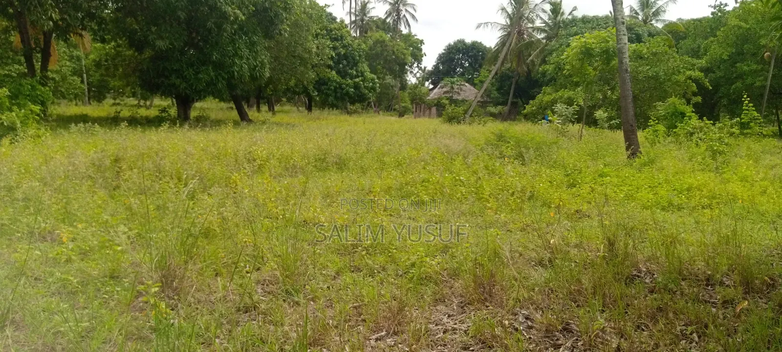 Land on Sale Ng'ombeni 4 Acres 1,9m Per Acre