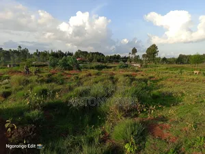 Land in Nnaragwa