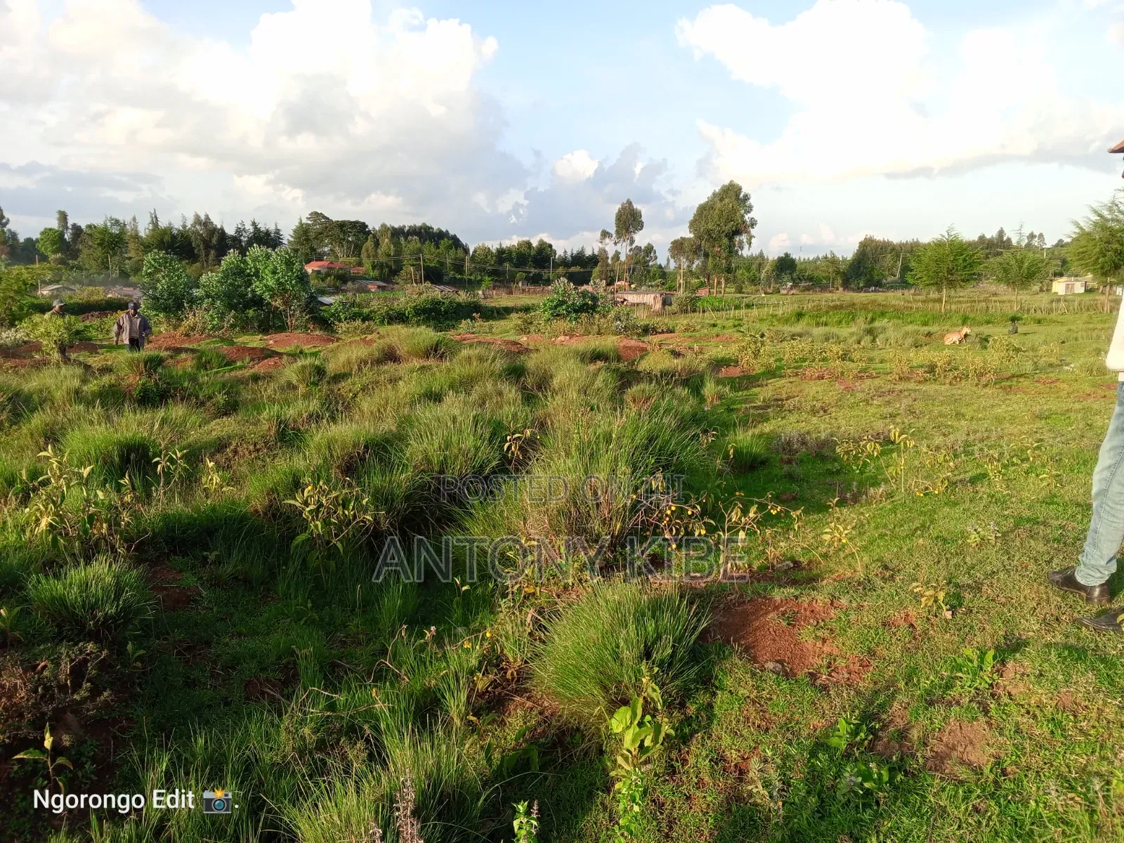Land in Nnaragwa