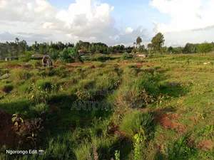 Land in Nnaragwa