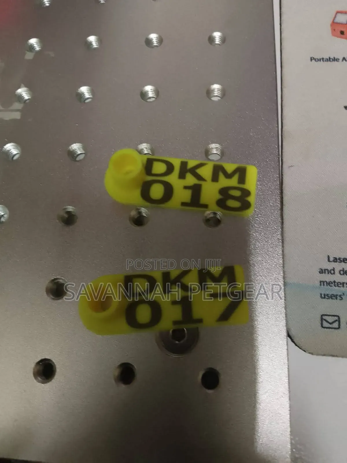 Livestock Identification Ear Tags Plain and Customizable