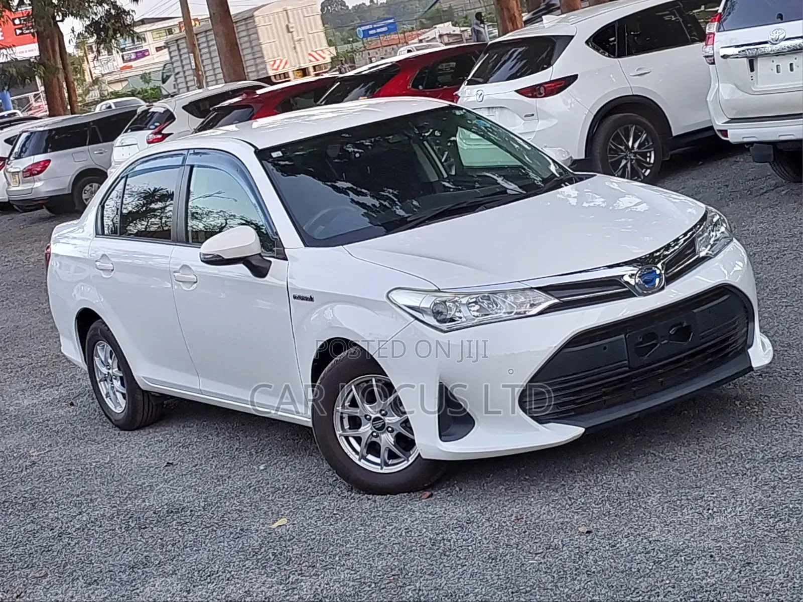 Toyota Axio 1.5 Hybrid 2WD 2018 Pearl