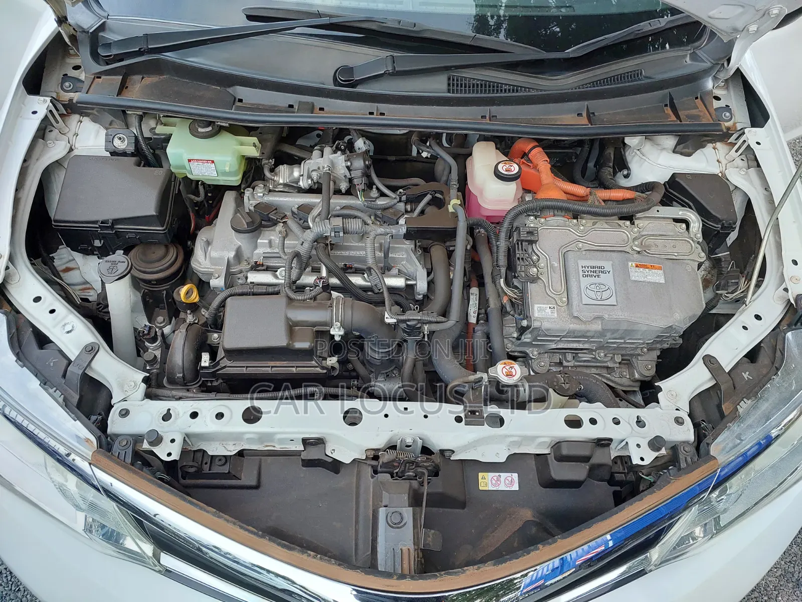 Toyota Axio 1.5 Hybrid 2WD 2018 Pearl