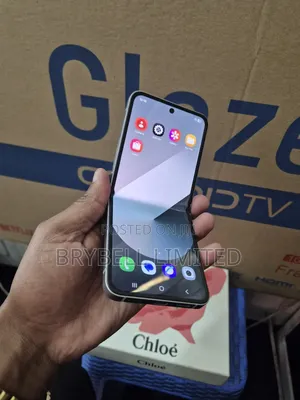 Samsung Galaxy Z Flip6 256 GB Gray