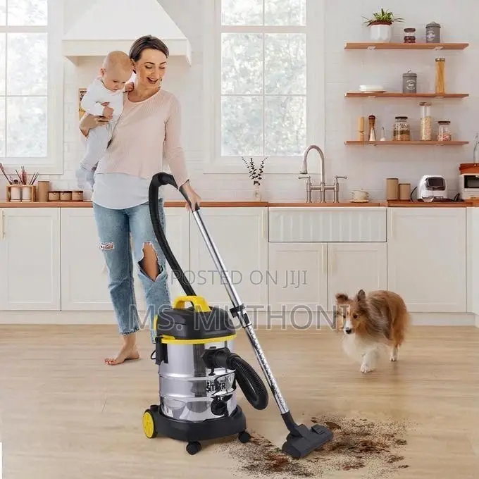 St-5034 Winning Star Brand Wet and Dry Vacuum Cleaner,