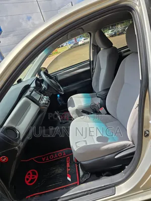 Toyota Axio 2014 Gold