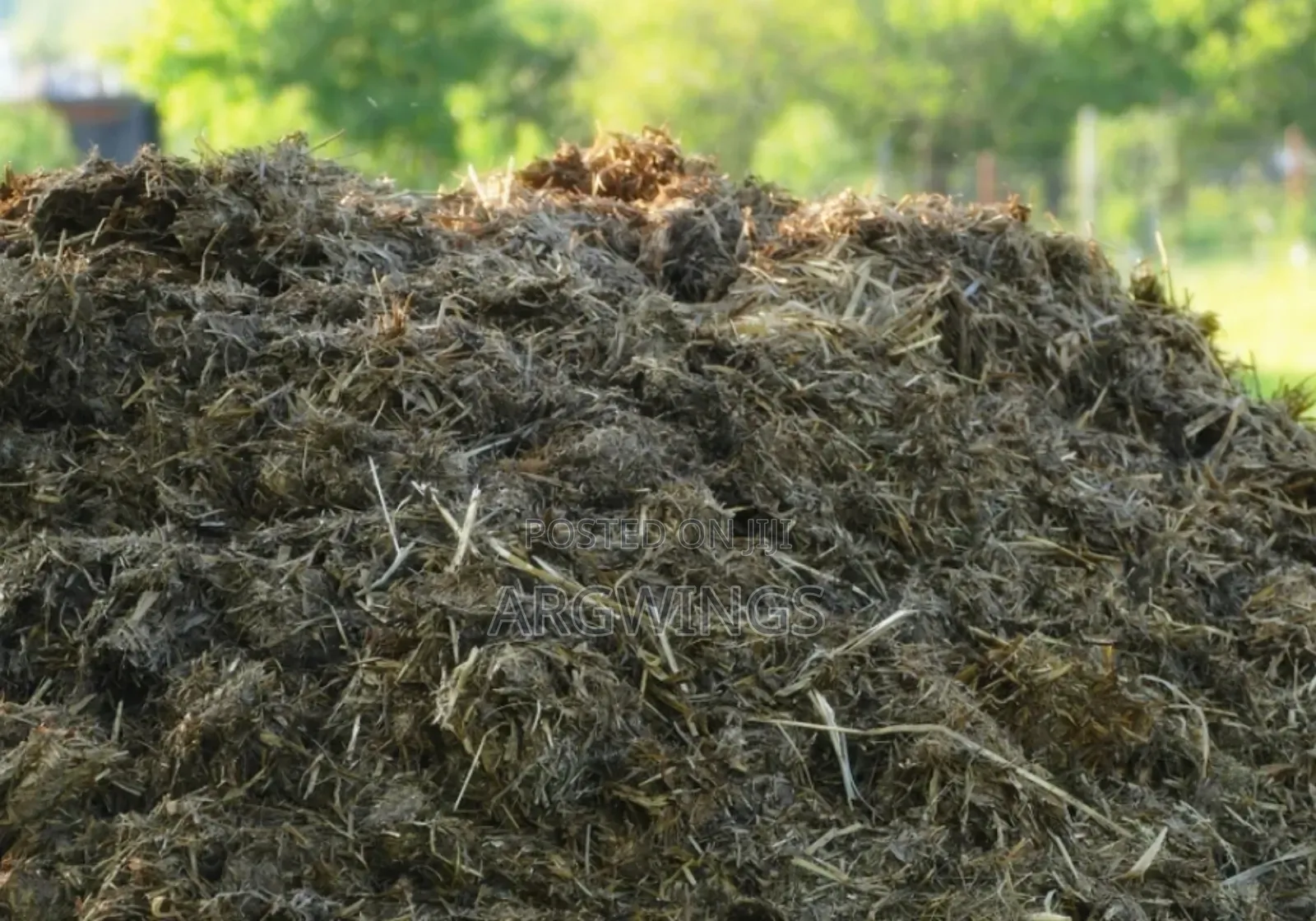 Cow Compost Manure