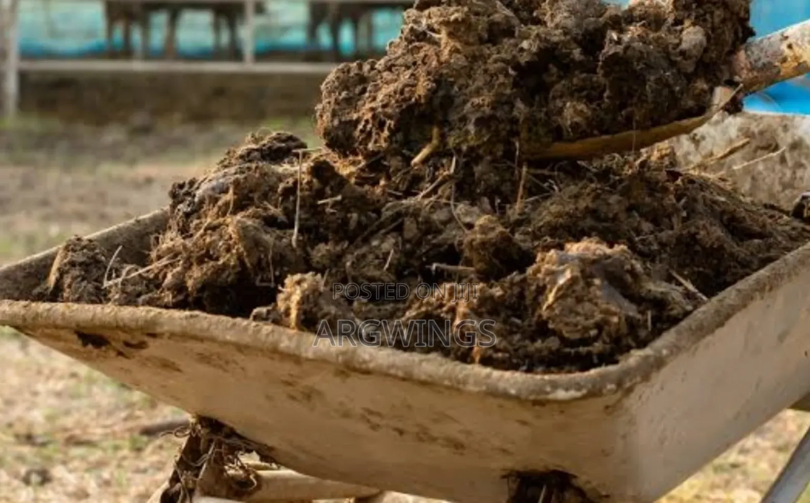 Cow Compost Manure
