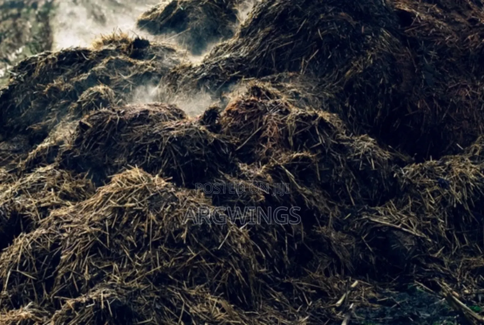 Cow Compost Manure