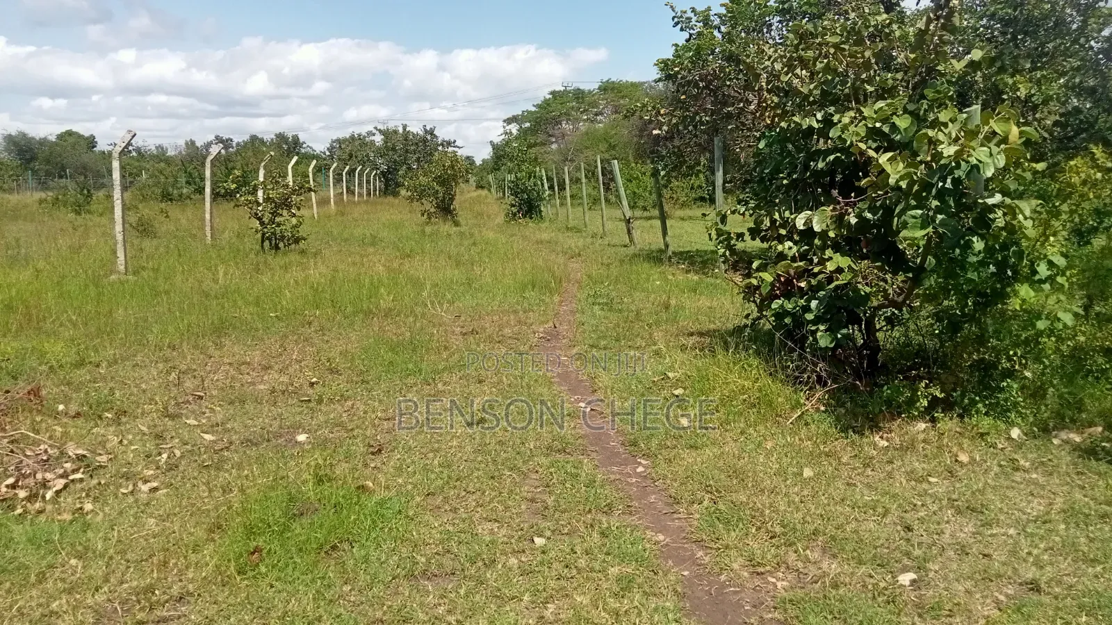 Half an Acre for Sale in Maragua Ridge
