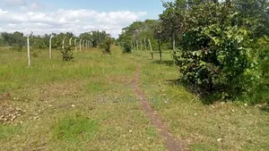 Half an Acre for Sale in Maragua Ridge