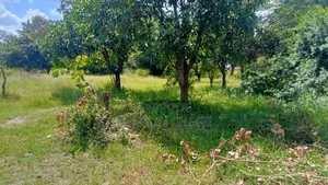 Half an Acre for Sale in Maragua Ridge