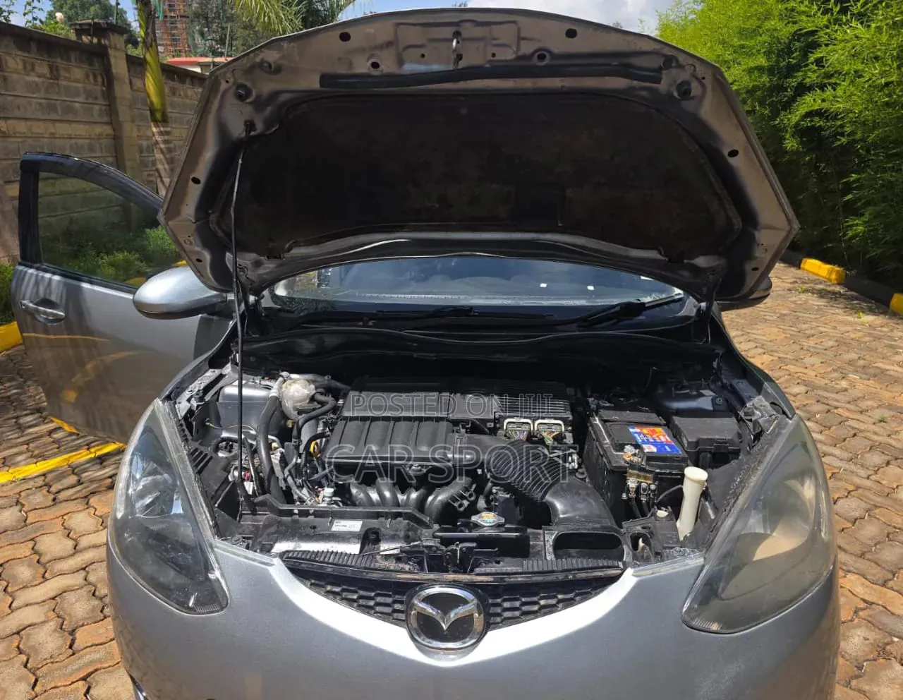 Mazda Demio 2010 Gray