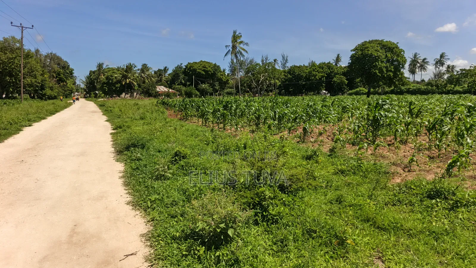 Plot for Sale