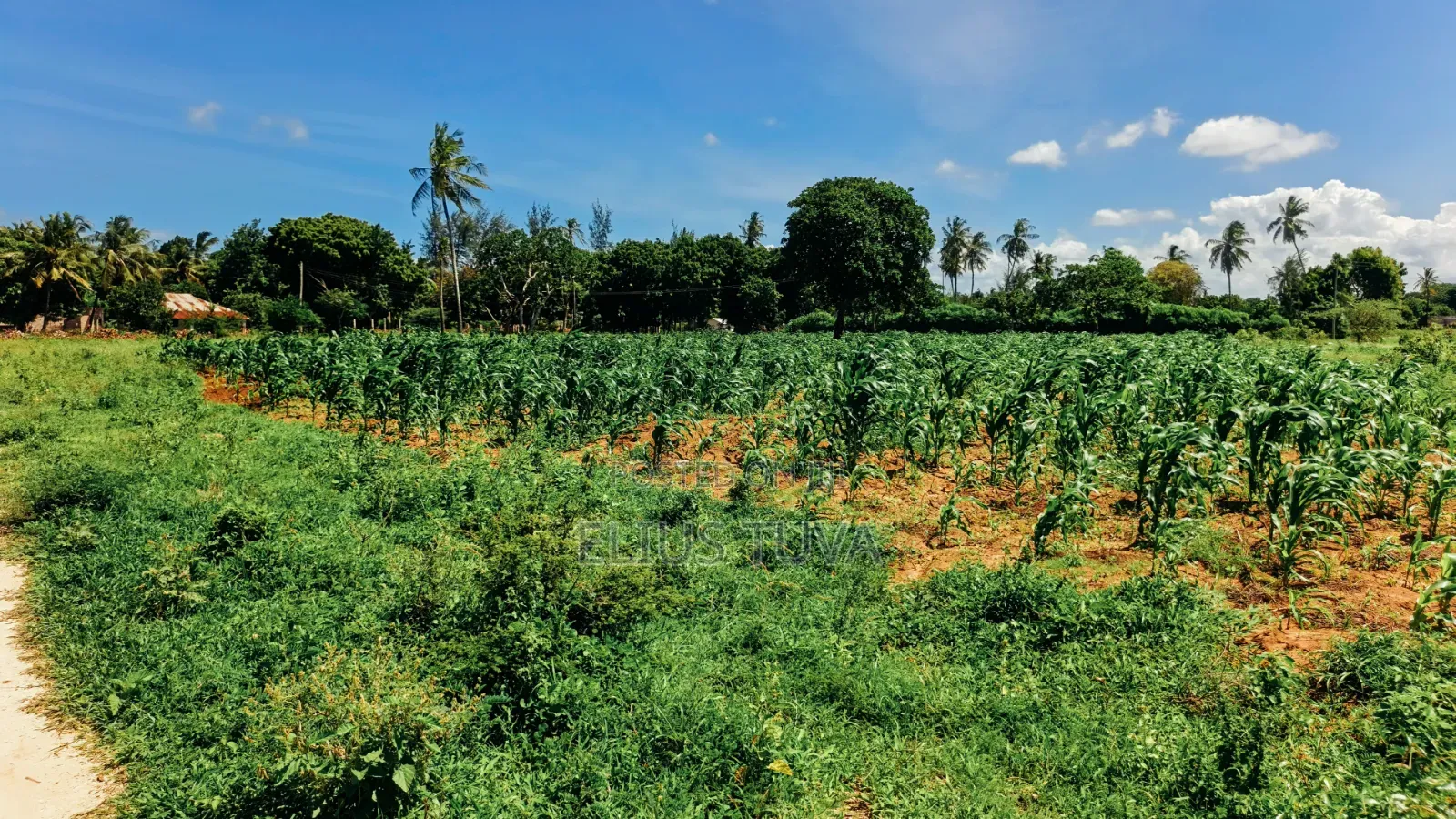 Plot for Sale